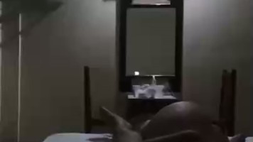 Bokep Premium Sex Nekad Main Sama Adek Tiri Dirumah